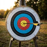 商品やサービスを売り込むべき具体的な顧客層(ターゲット)を象徴する、クラシックなアーチェリーの的の中心(ブルズアイ)に見事に命中した一本の矢の高品質な写真